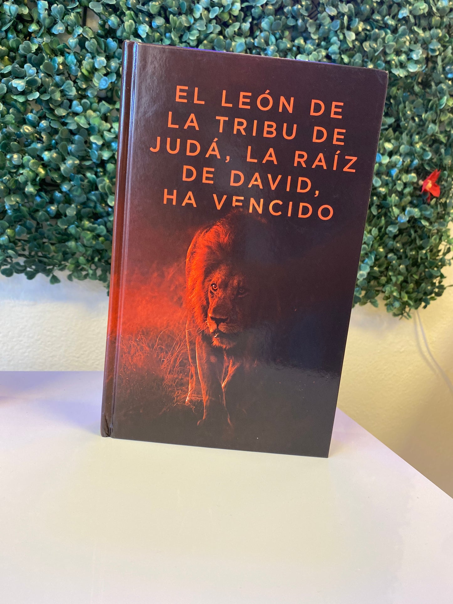 Santa Biblia Letra exclusiva