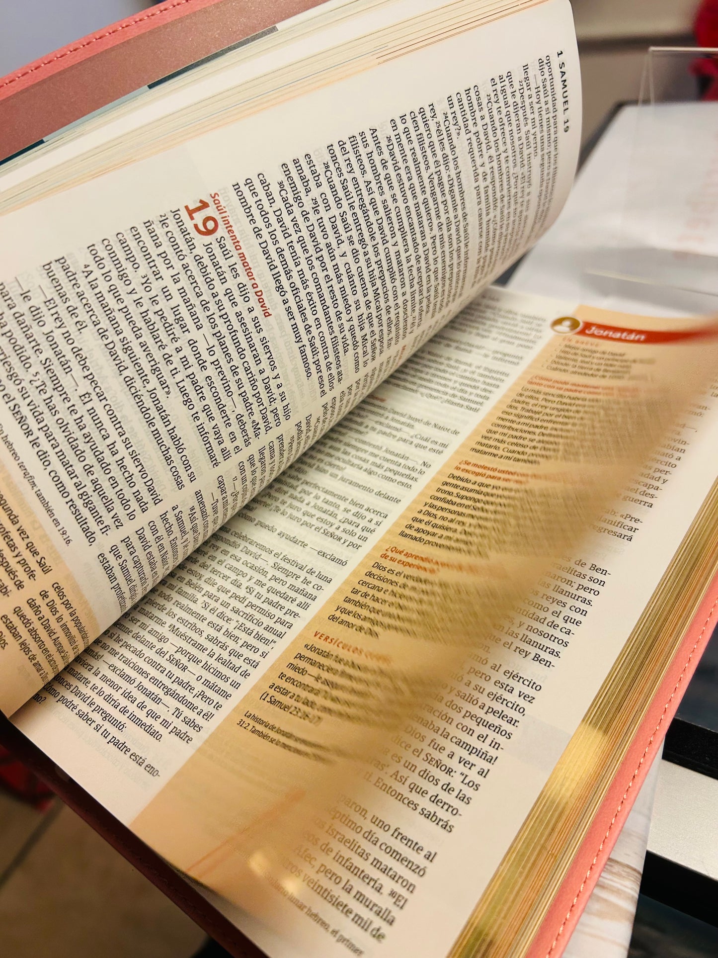 Biblia de Estudio del Diario Vivir para Jóvenes NTV