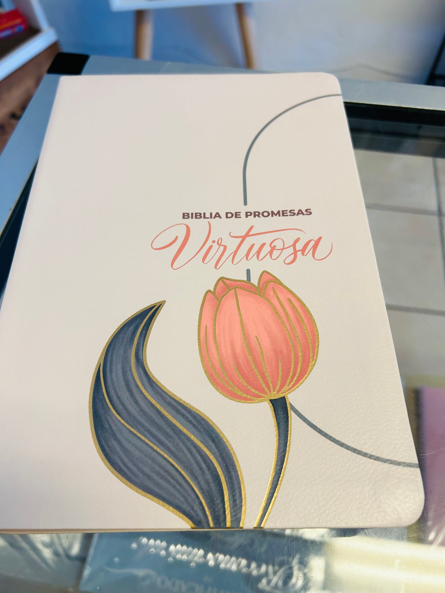 Biblia de Promesas Virtuosa