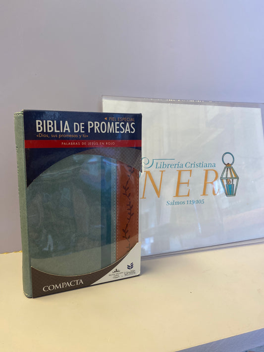 Biblia de Promesas
