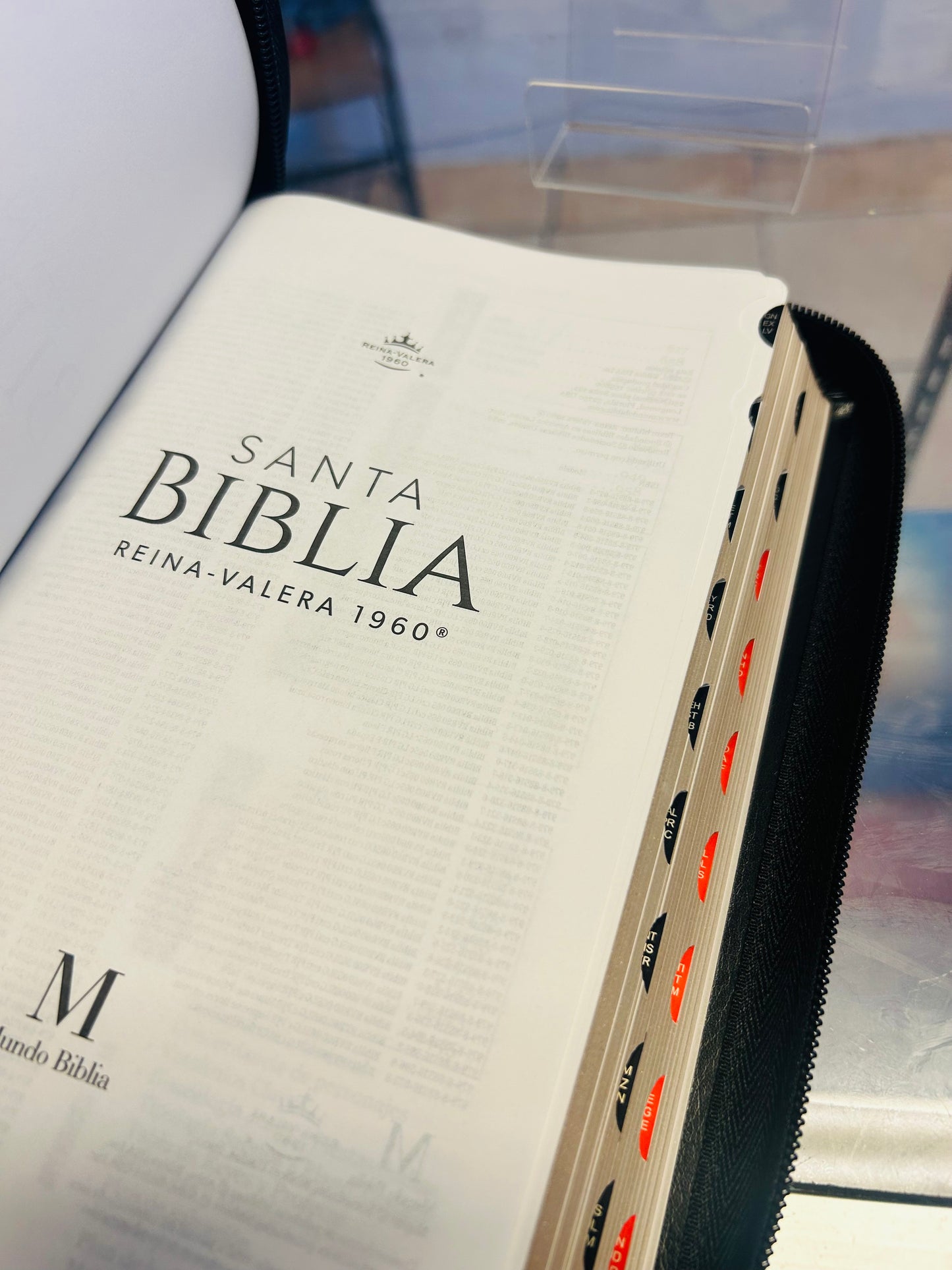 Santa Biblia RVR 1960 Letra Grande 12 puntos