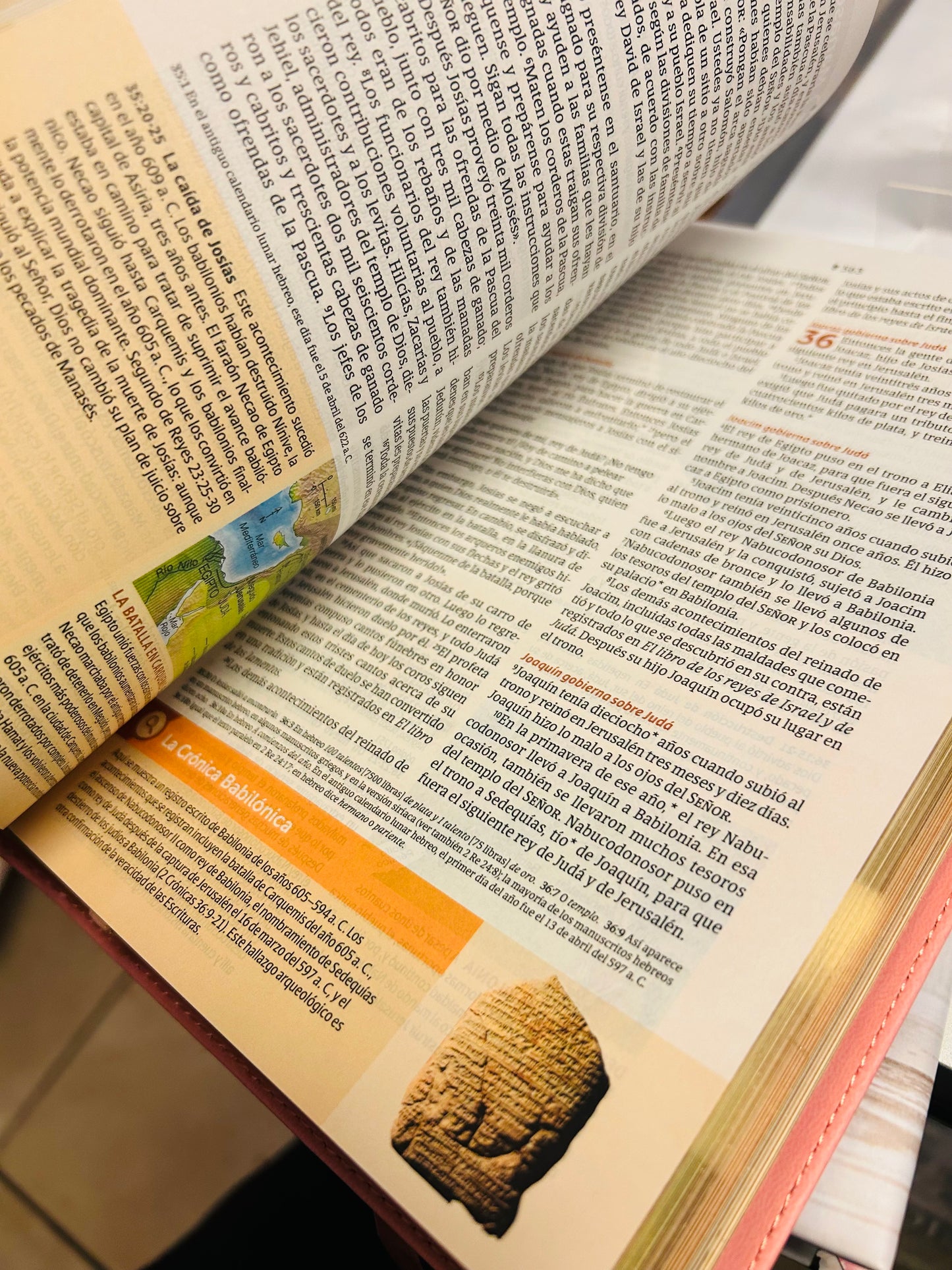 Biblia de Estudio del Diario Vivir para Jóvenes NTV