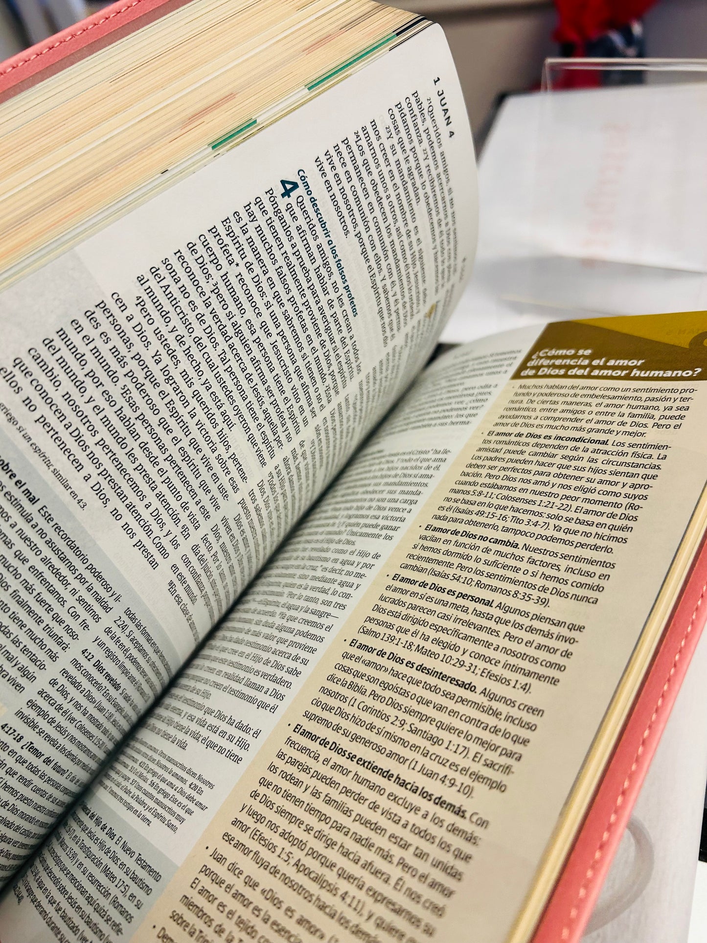 Biblia de Estudio del Diario Vivir para Jóvenes NTV