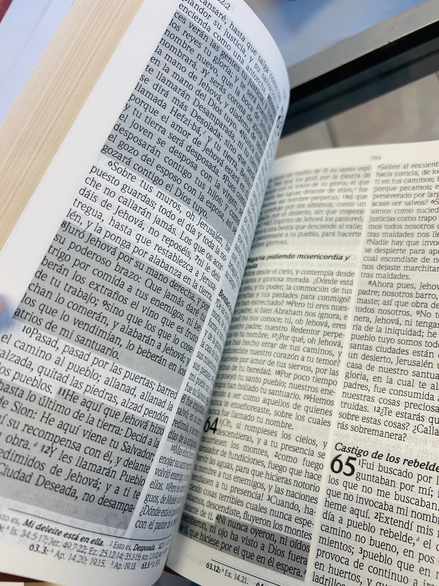Biblia de Promesas Virtuosa