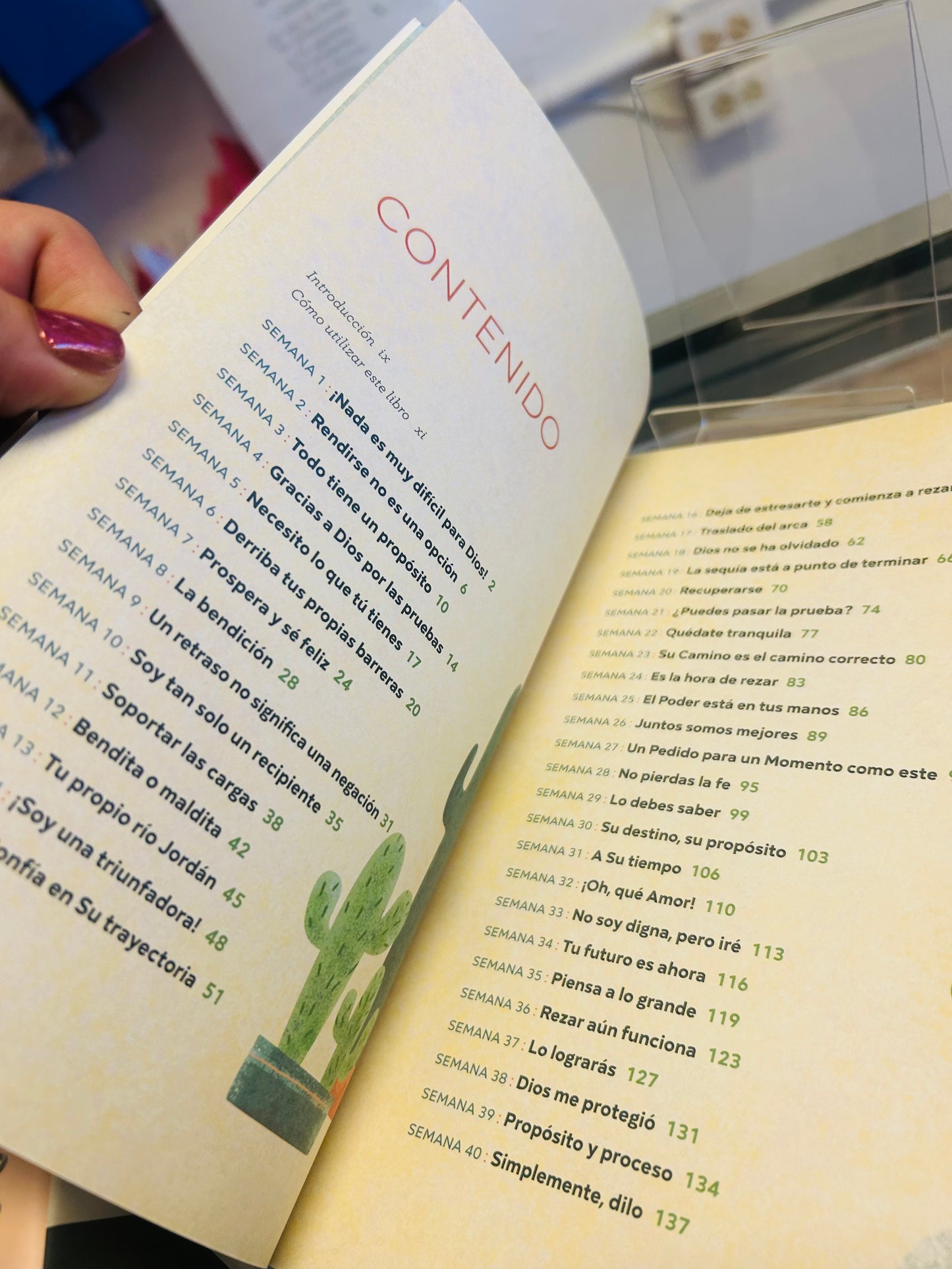 La Biblia en 42 Semanas Un Estudio Bíblico anual para la mujer