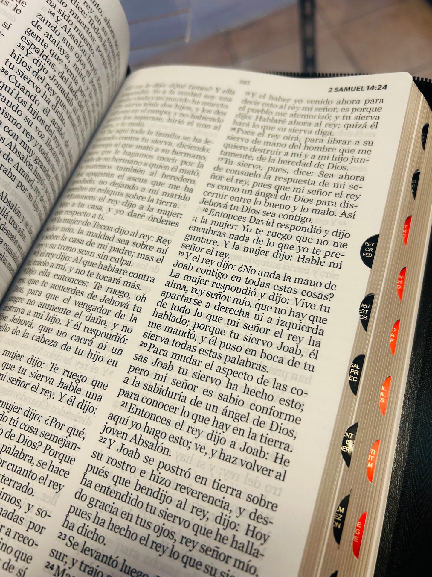 Santa Biblia RVR 1960 Letra Grande 12 puntos