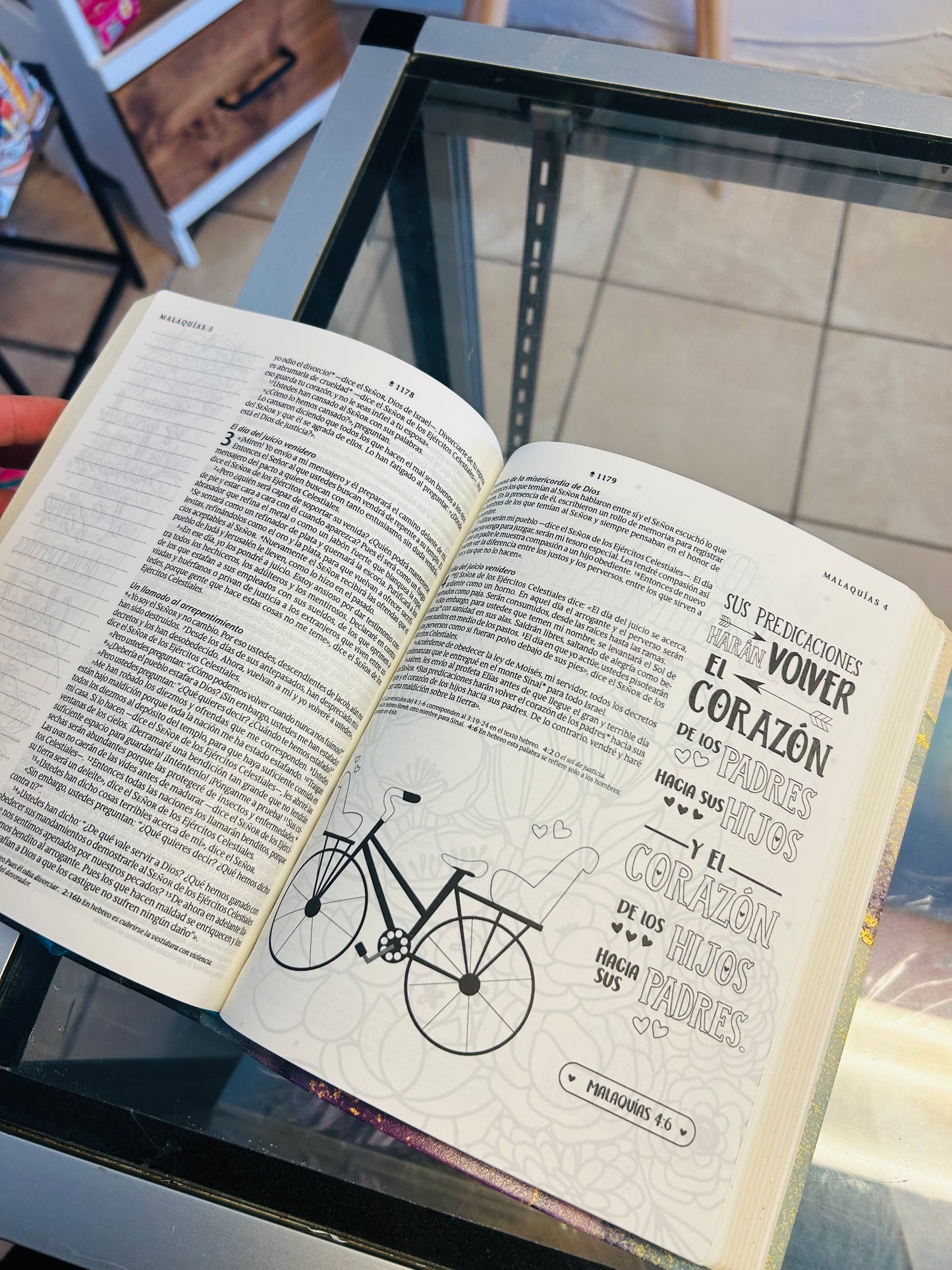 Biblia Inspira