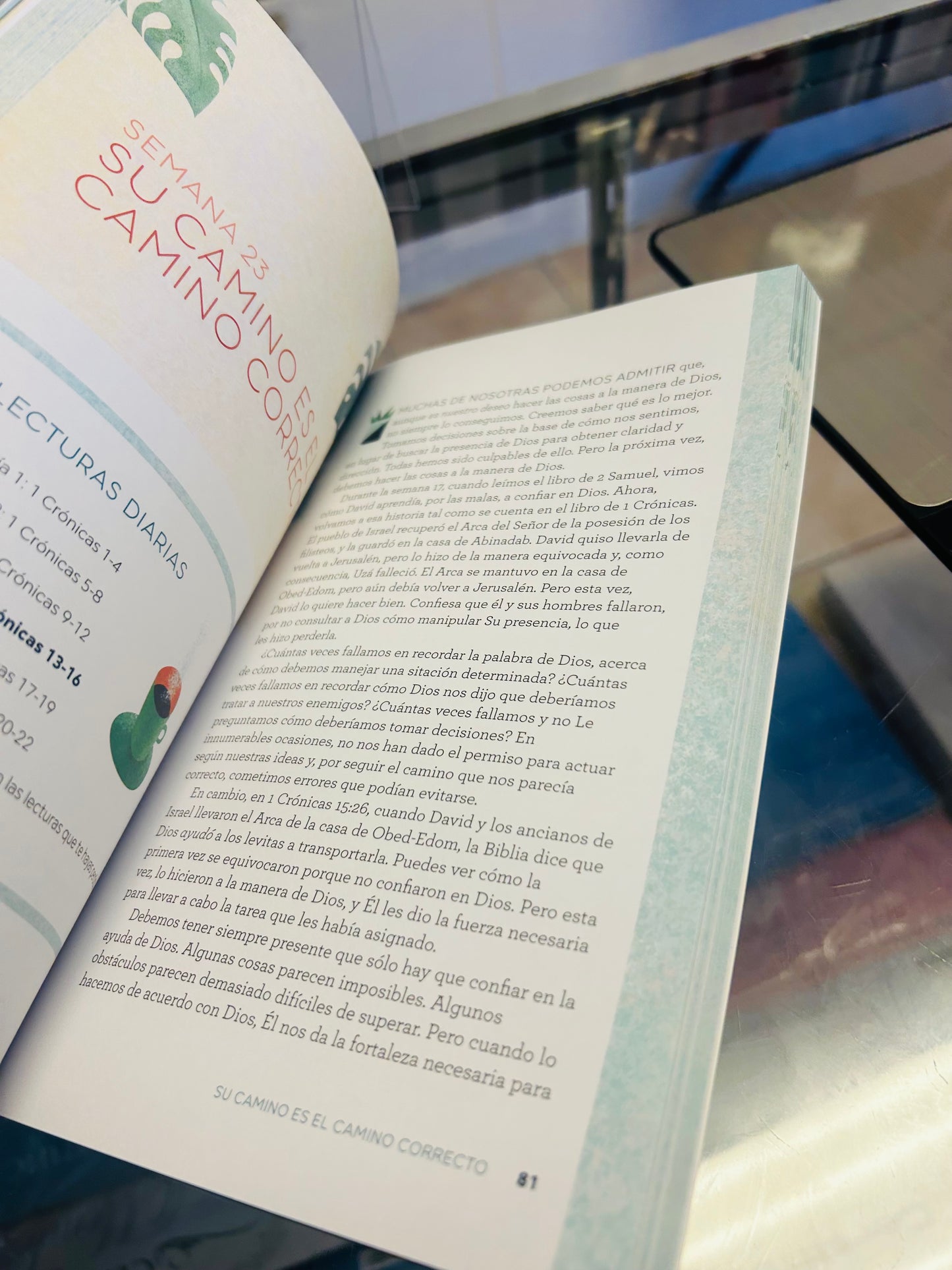 La Biblia en 42 Semanas Un Estudio Bíblico anual para la mujer