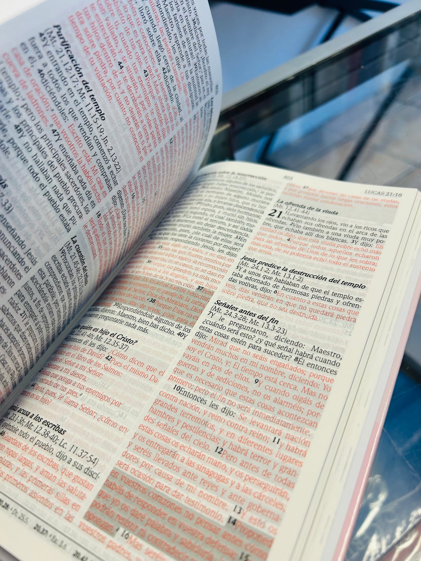 Biblia de promesas para niñas RVR 1960