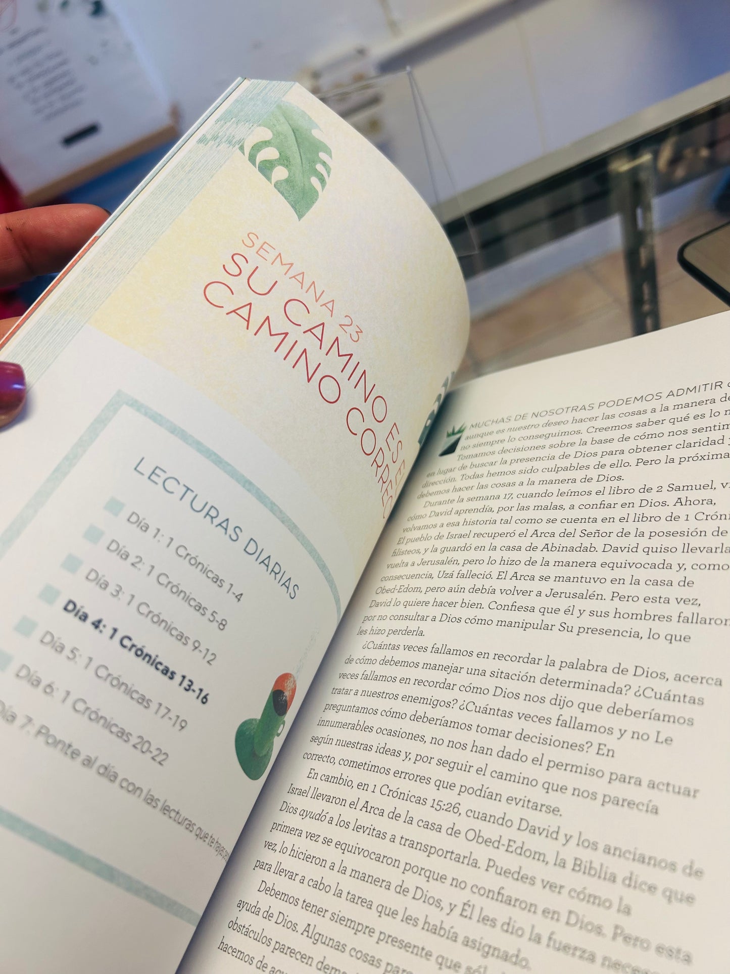 La Biblia en 42 Semanas Un Estudio Bíblico anual para la mujer
