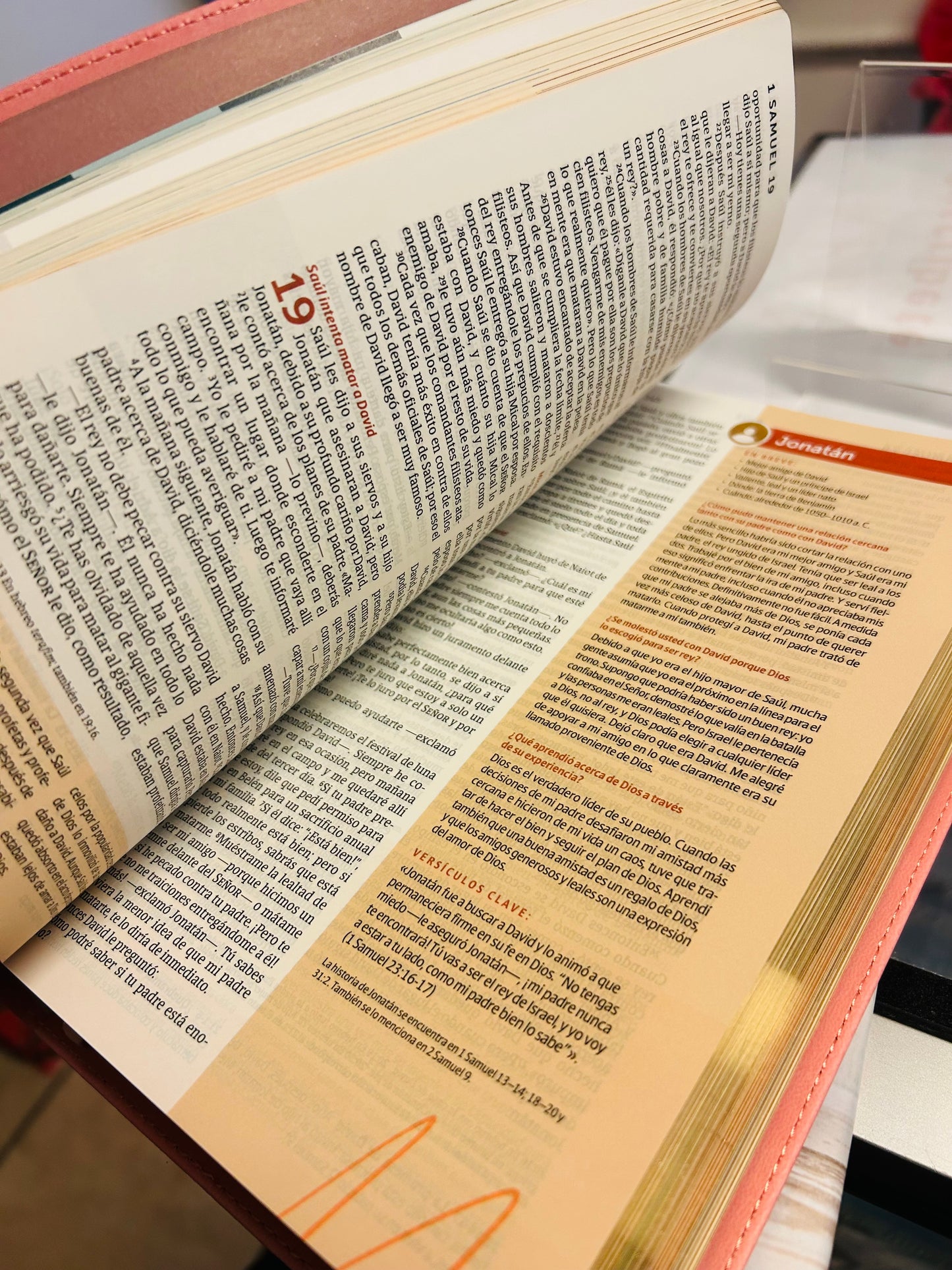 Biblia de Estudio del Diario Vivir para Jóvenes NTV