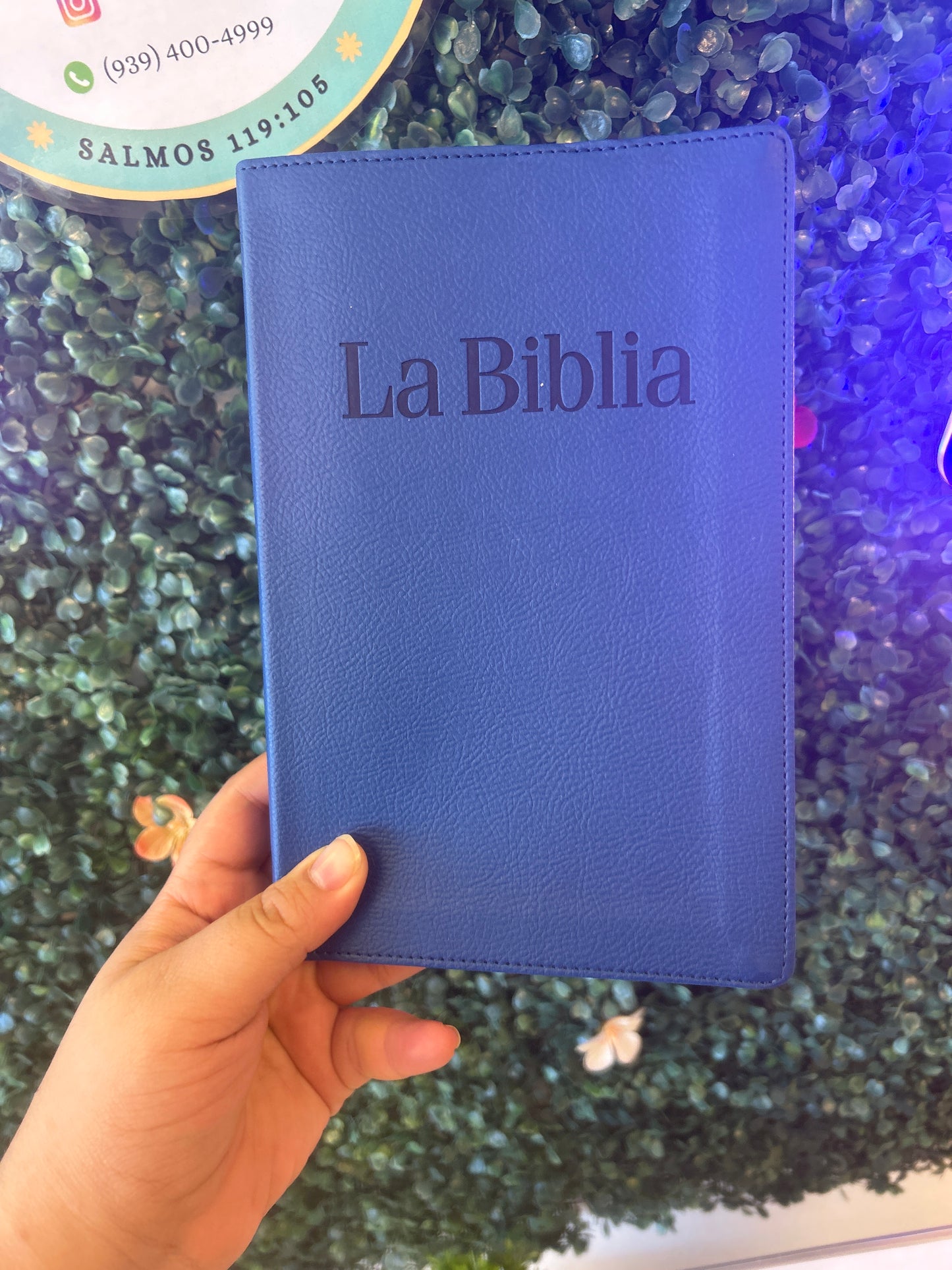 La Biblia PDT