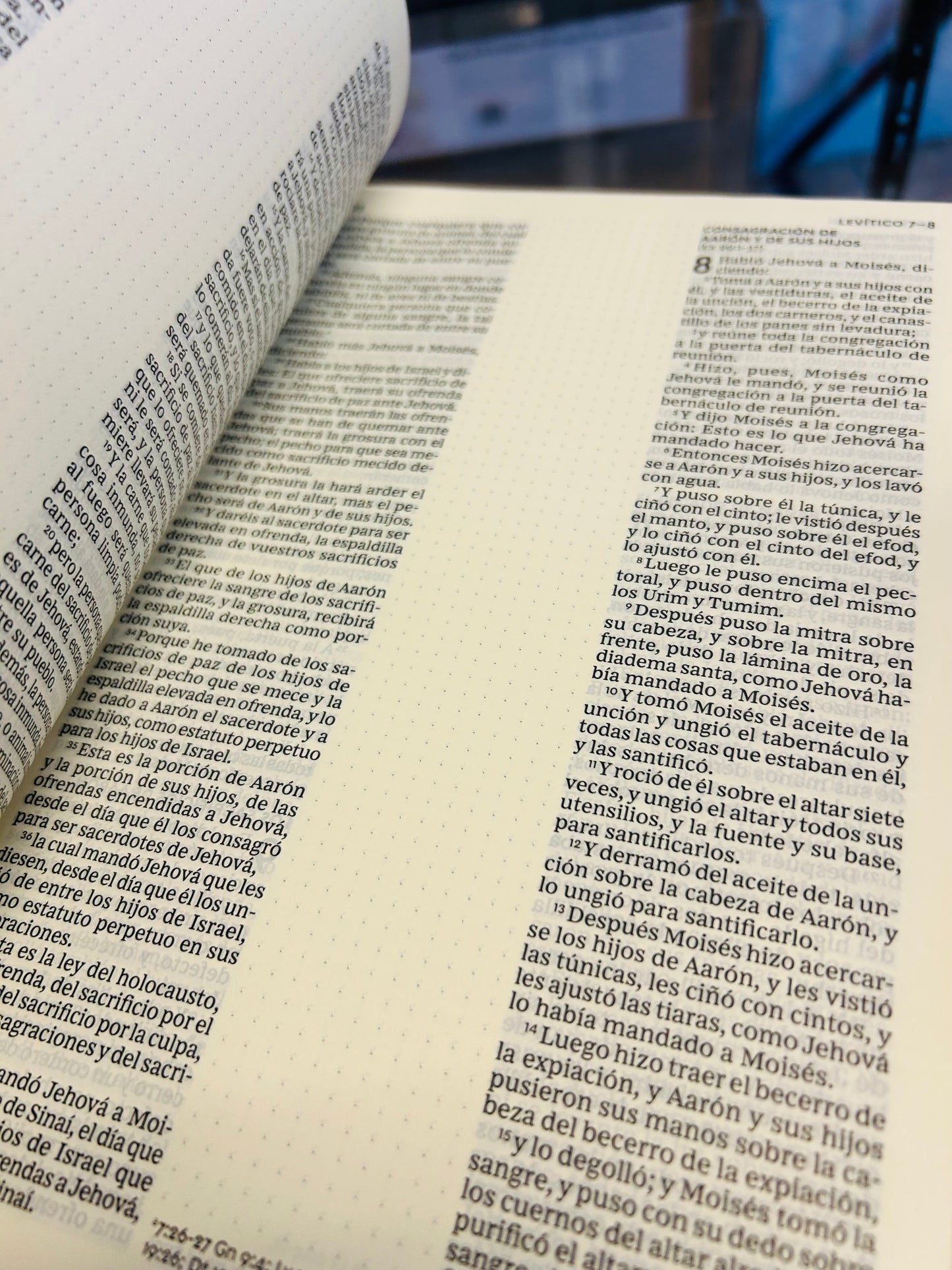 Santa Biblia Edición Artística RVR 1960