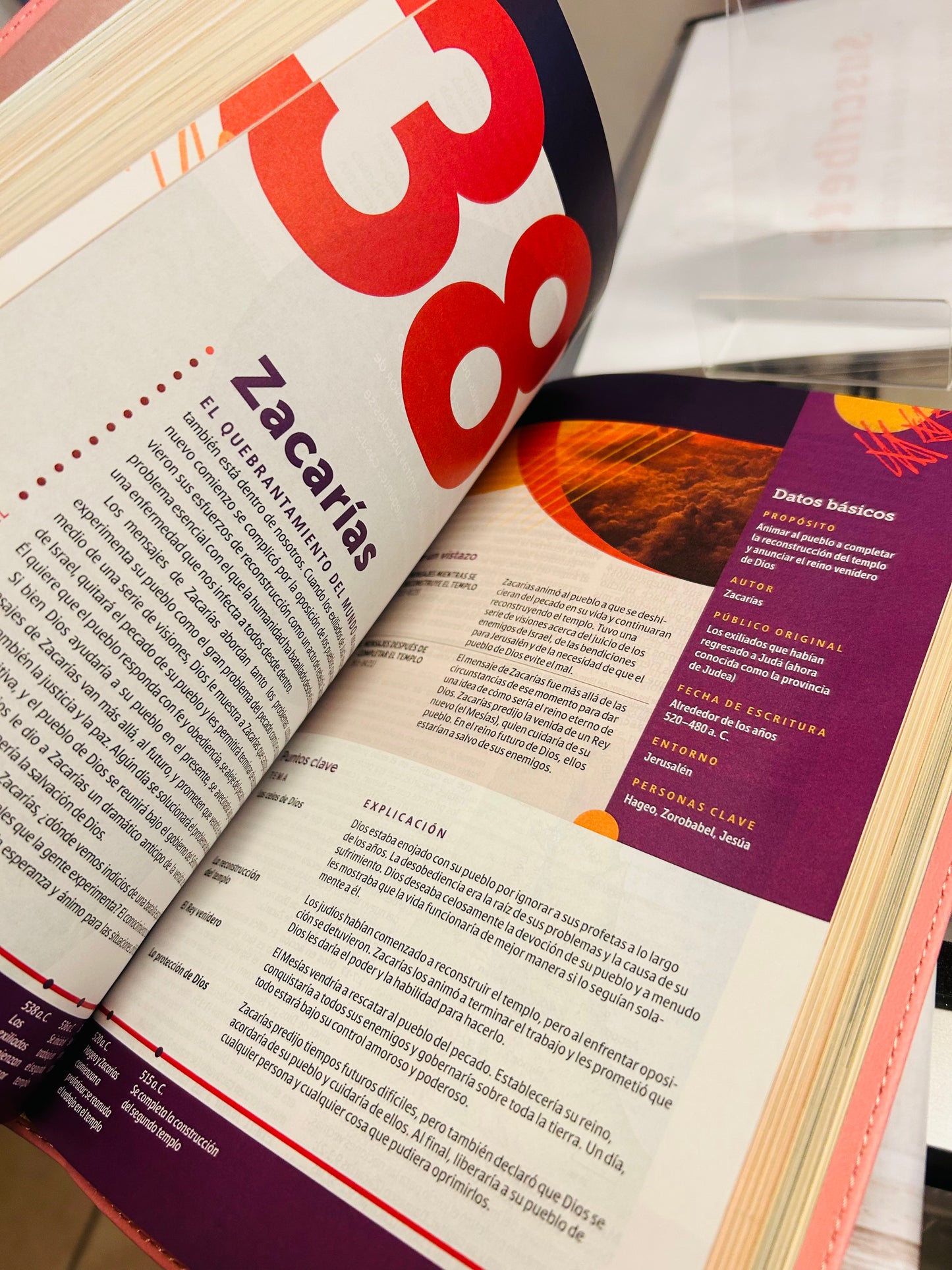 Biblia de Estudio del Diario Vivir para Jóvenes NTV