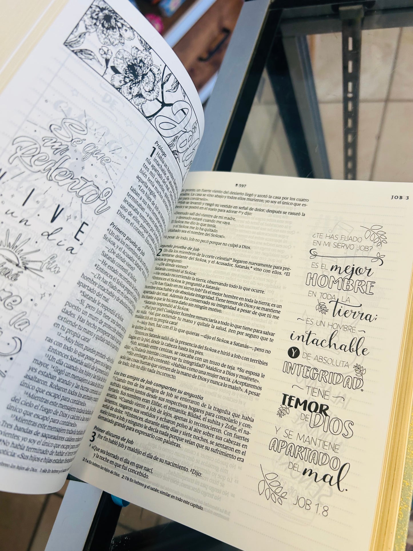 Biblia Inspira