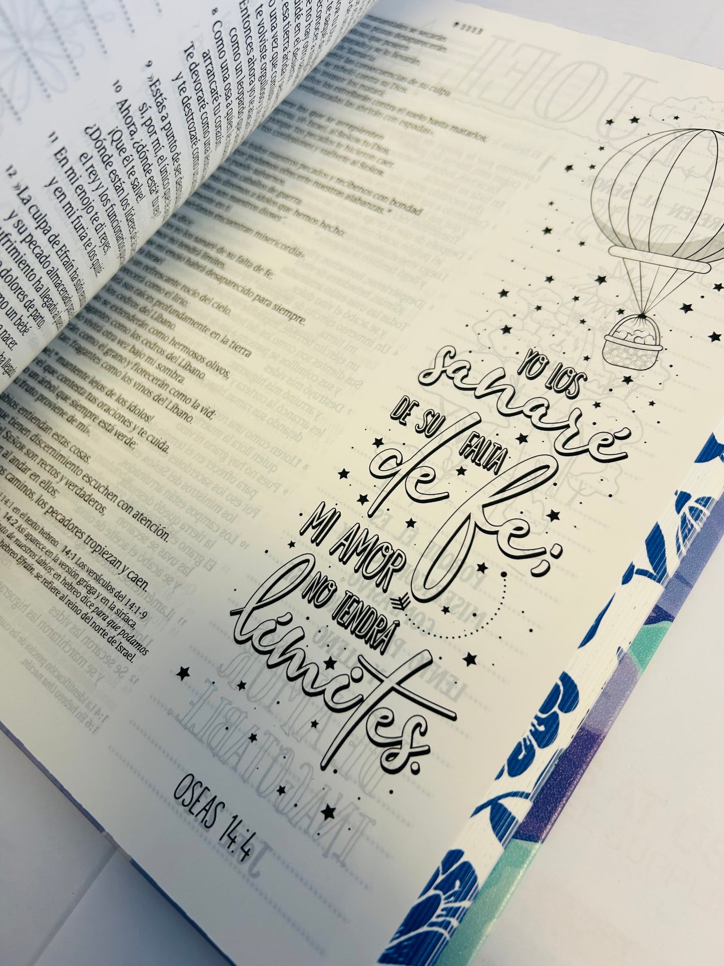 Biblia Inspira Letra Grande