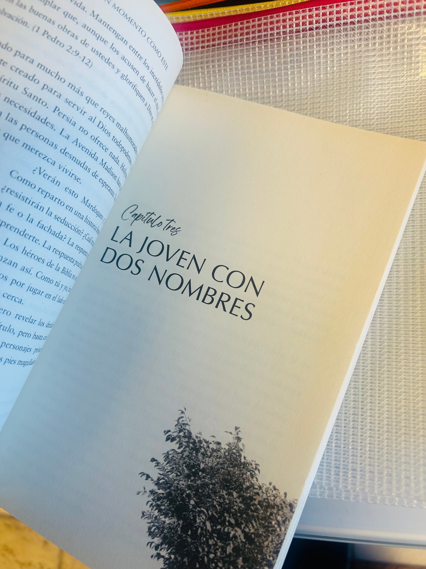 Fuiste Creado para un momento Como este Max Lucado