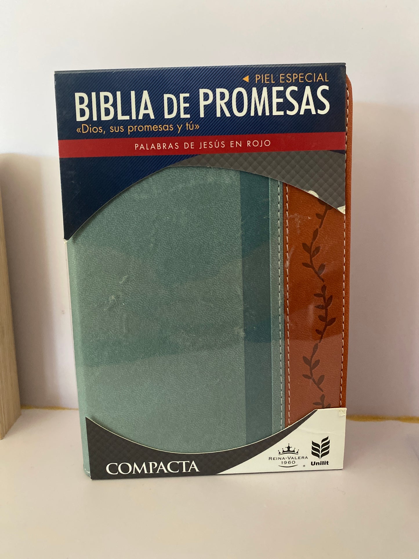 Biblia de Promesas