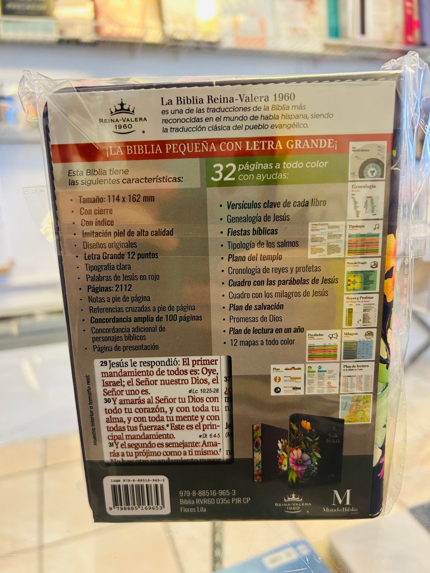 Santa Biblia Portátil Imitación Piel