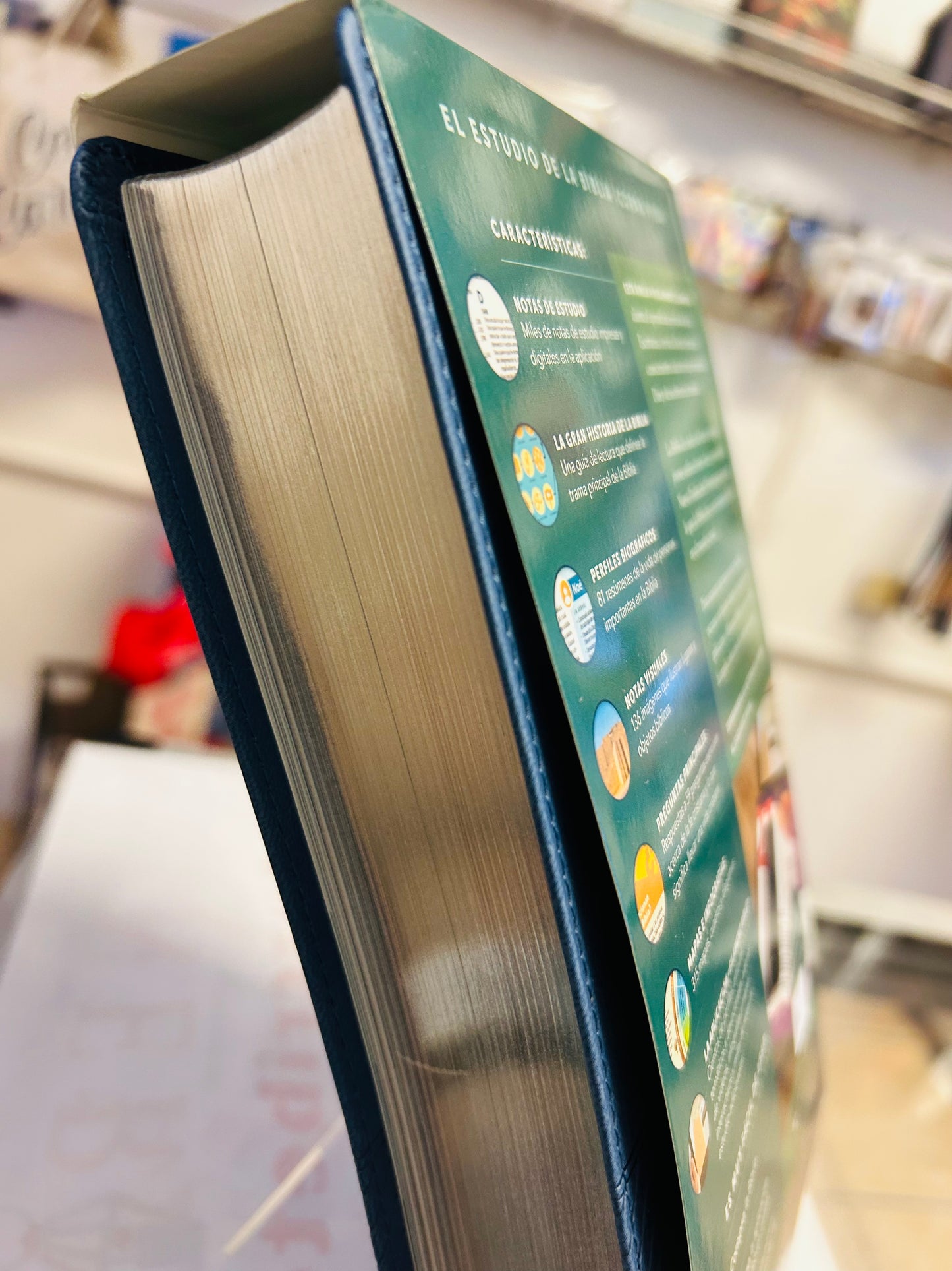 Biblia de Estudio del Diario Vivir para Jóvenes NTV