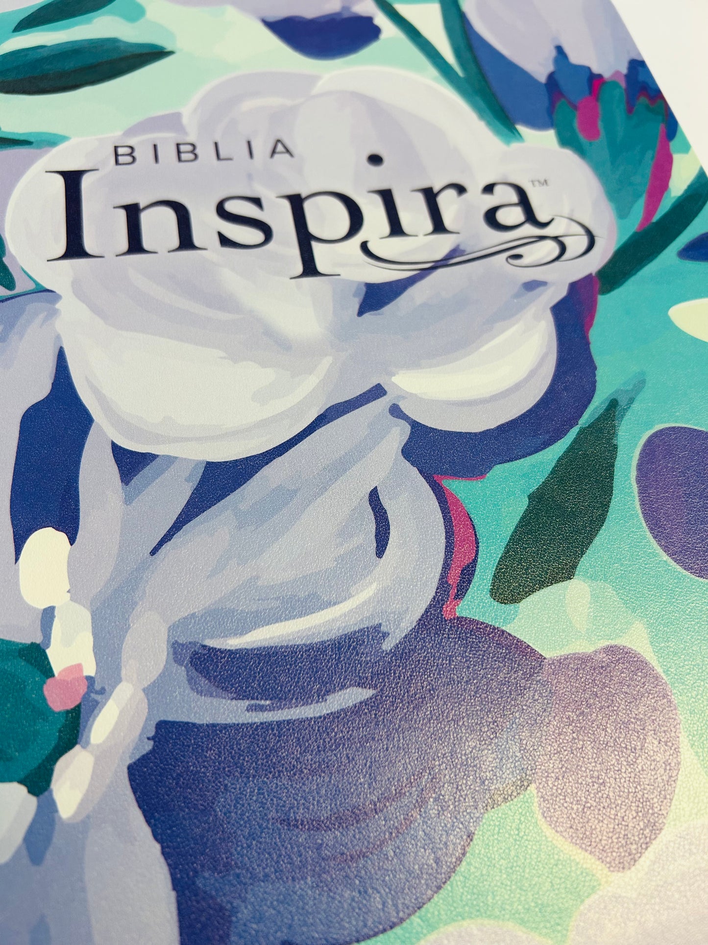 Biblia Inspira Letra Grande