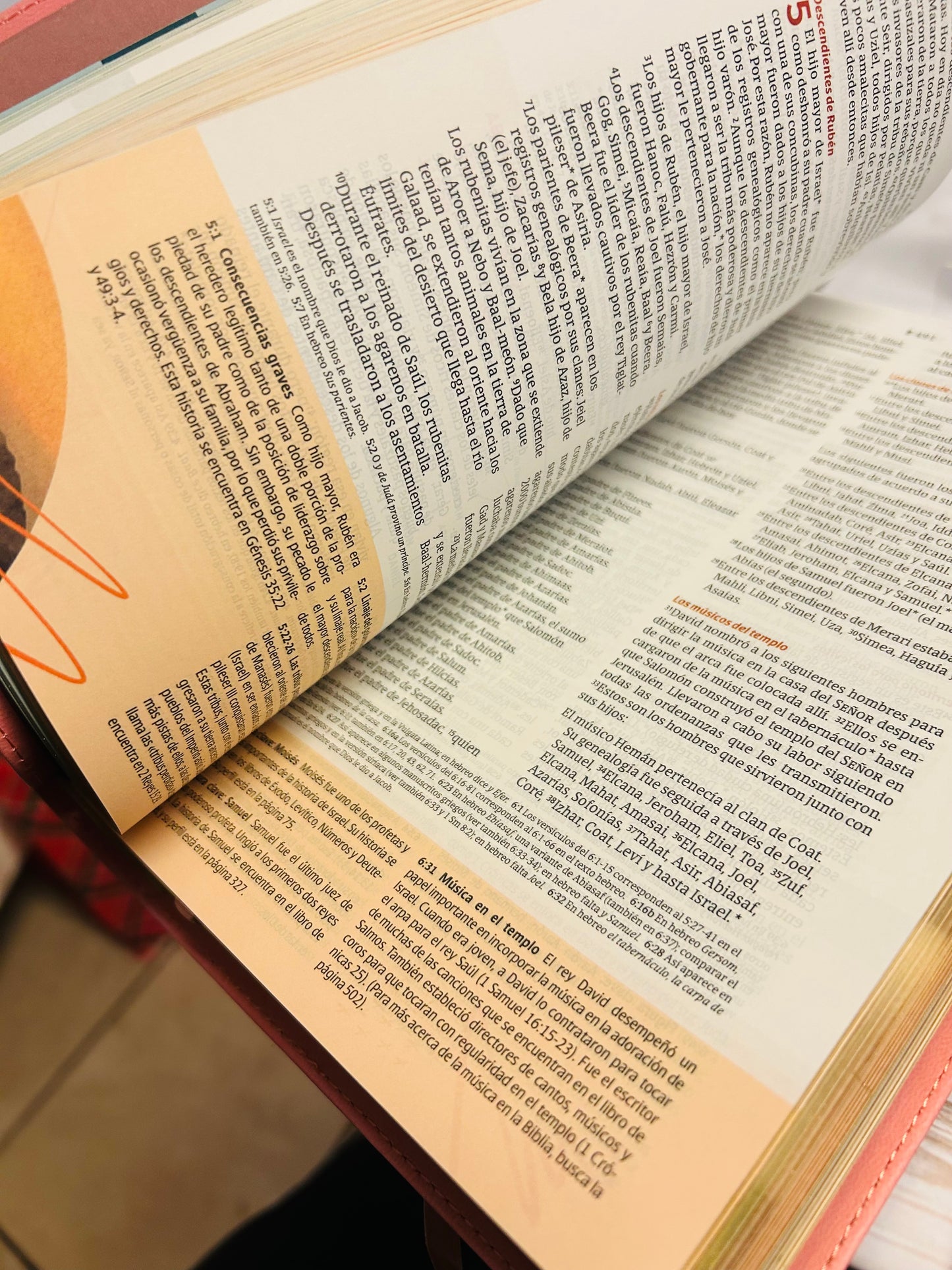 Biblia de Estudio del Diario Vivir para Jóvenes NTV