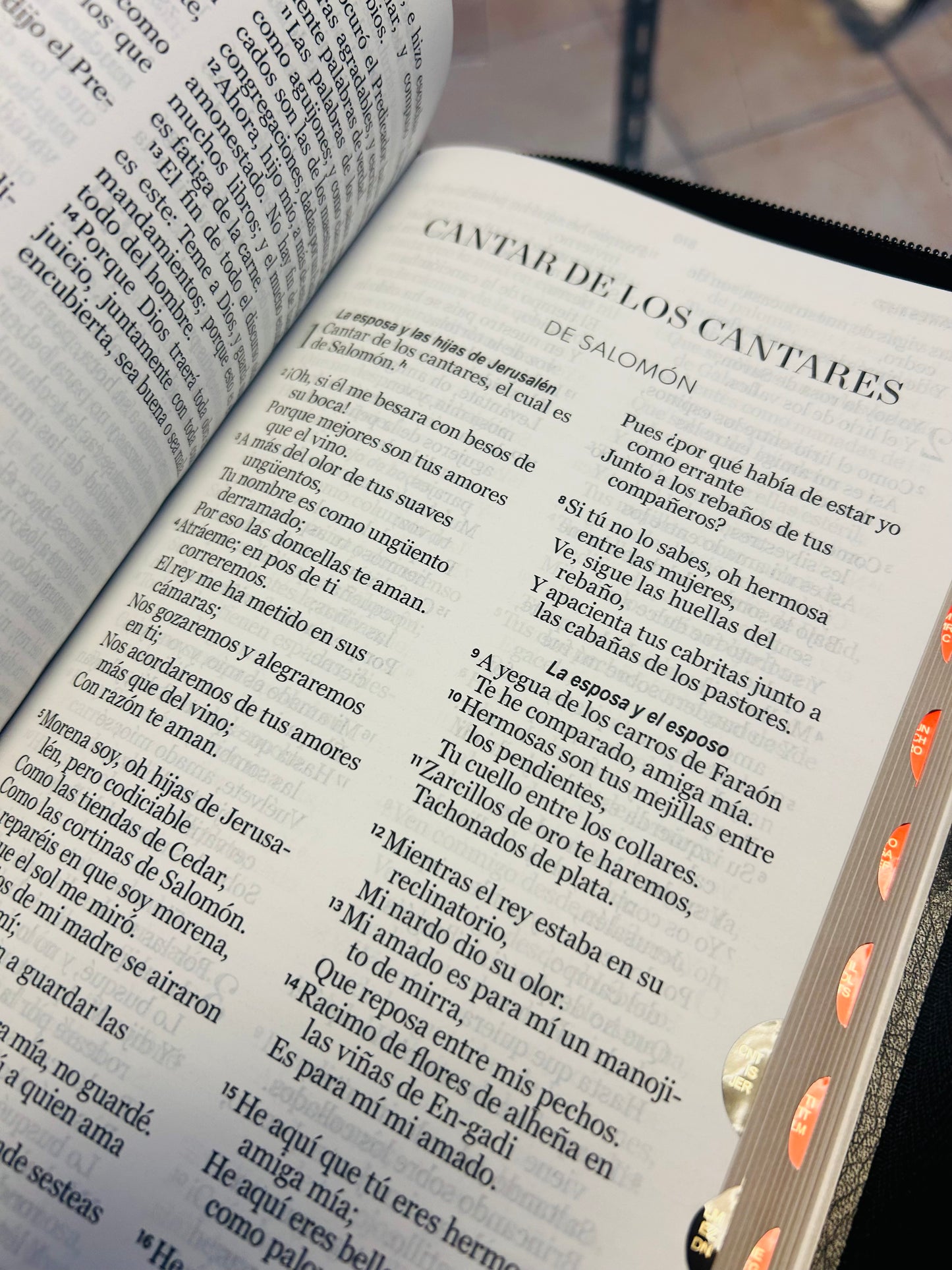 Santa Biblia RVR 1960 Letra Grande 12 puntos